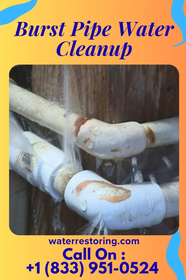 Burst Pipe Water Cleanup in Deshler, OH