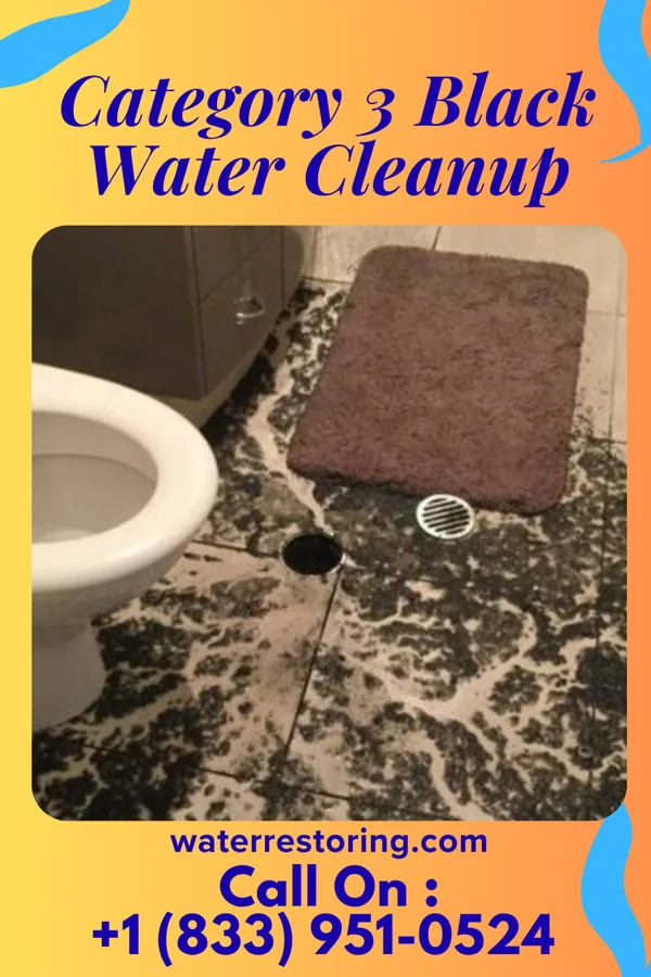 Category 3 Black Water Cleanup in Deshler, OH