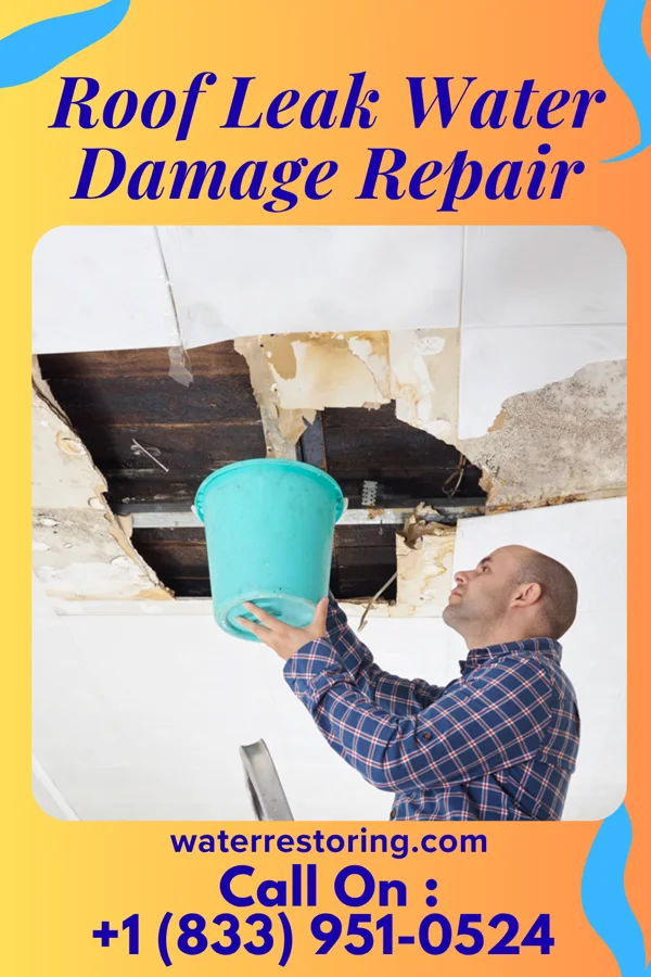 Roof Leak Water Damage Repair in Deshler, OH