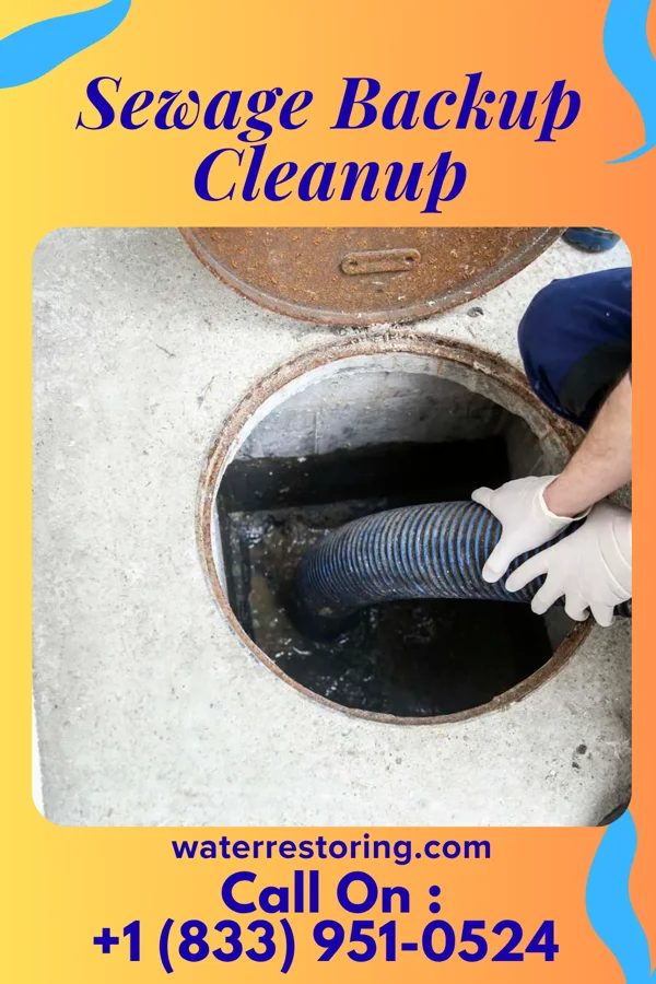 Sewage Backup Cleanup in Deshler, OH