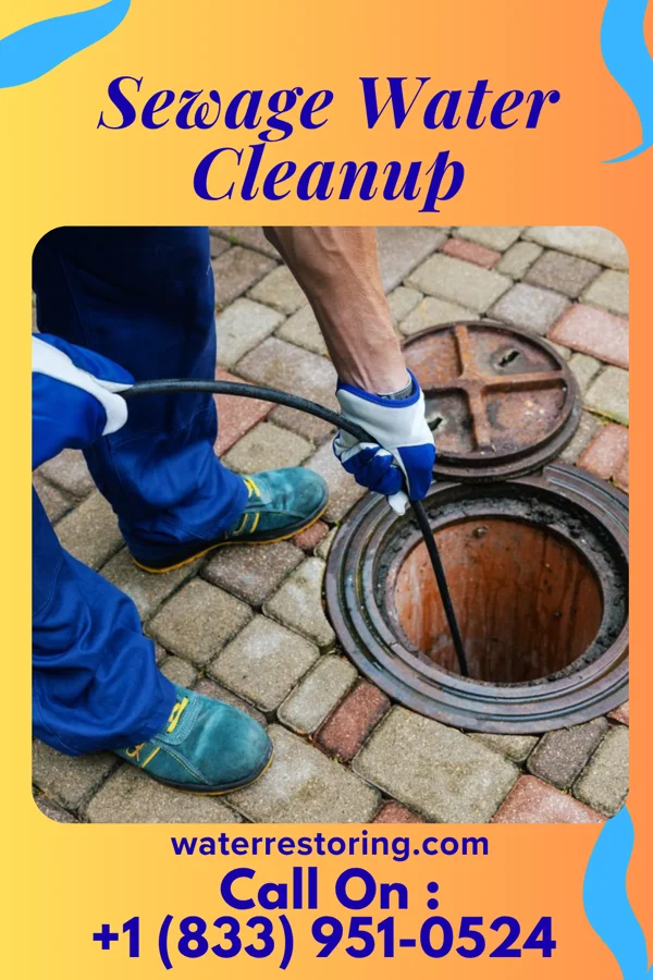 Sewage Water Cleanup in Deshler, OH