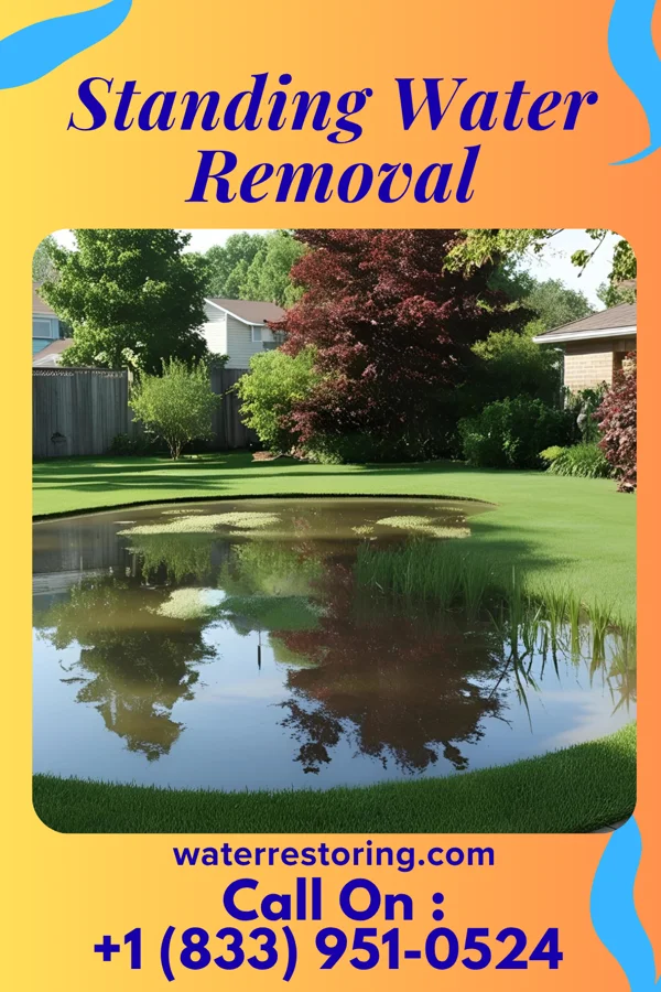 Standing Water Removal in Deshler, OH